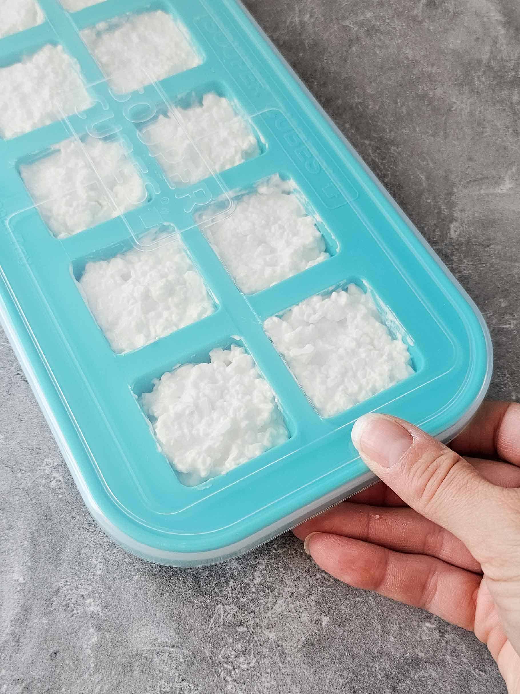 covered ice cube tray filled with cottage cheese