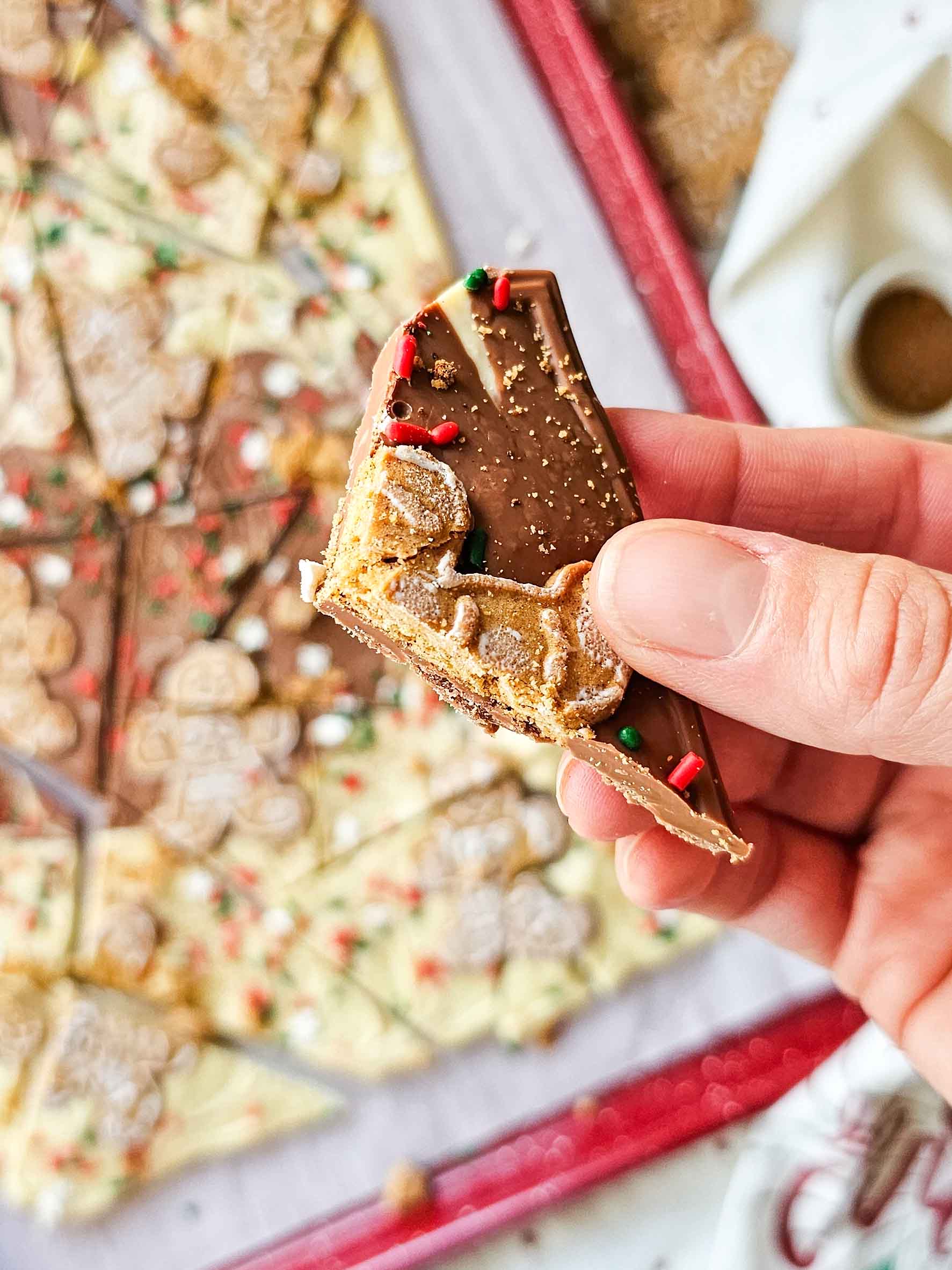 hand holding a piece of chocolate with gingerbread cookie